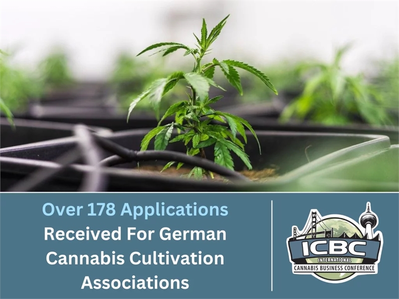 Over 178 Applications Received For German Cannabis Cultivation Associations