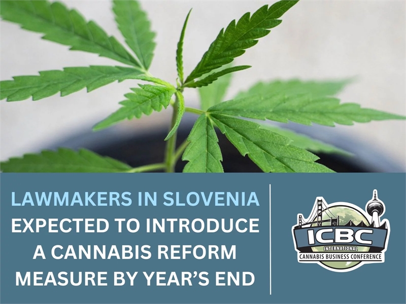 Cannabis Policy Modernization Measure Expected In Slovenia By End Of Year