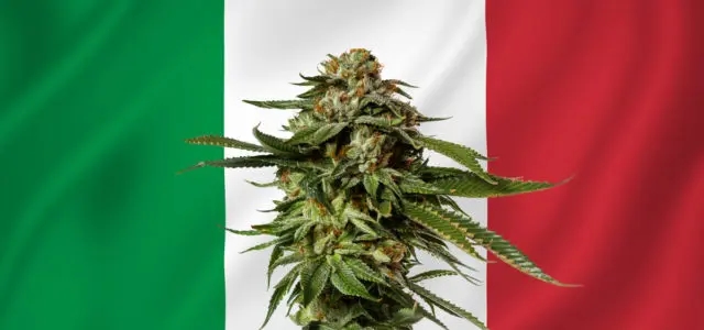 Italy Planning to Ban Hemp Flower Products