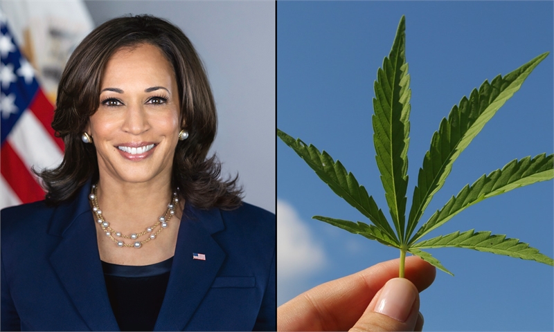 Kamala Harris Rolls Out National Marijuana Legalization Plan, Pledging To Make It ‘The Law Of The La