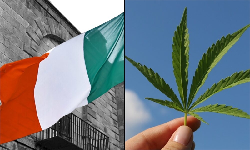 Legislative Committee In Ireland Calls For Marijuana Legalization And Decriminalization Of ‘All Illi