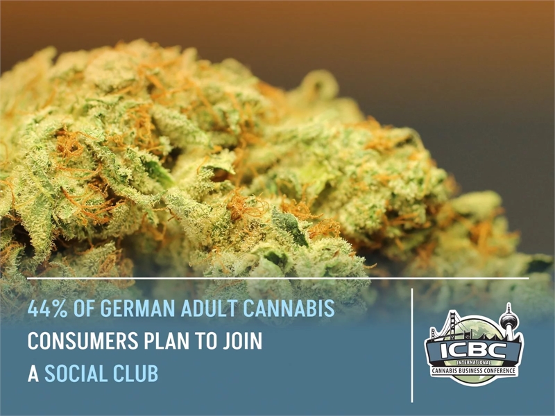 44% Of German Adult Cannabis Consumers Plan To Join A Social Club