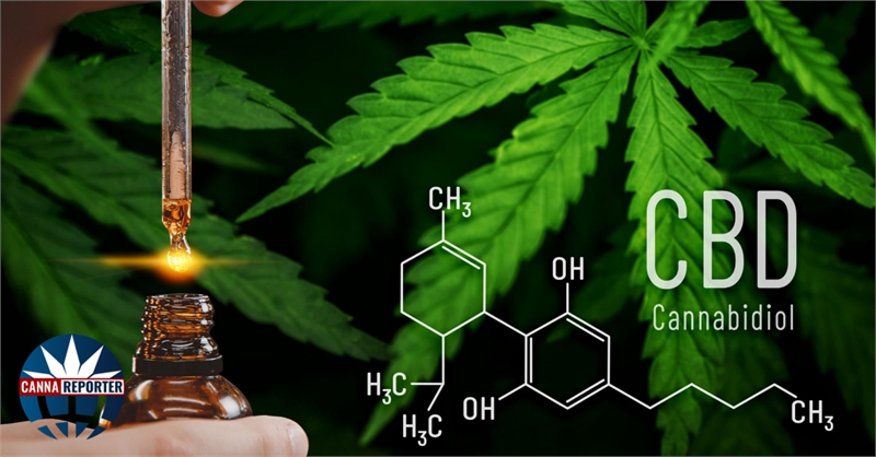 CBD… What the FAQ? — Everything you need to know about Cannabidiol