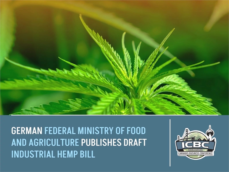 German Federal Ministry Of Food And Agriculture Publishes Draft Industrial Hemp Bill