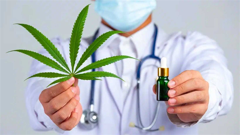 Czech GPs Will be Able to Prescribe Medical Cannabis Next Year