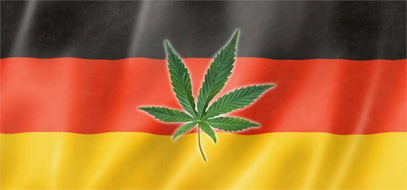 Survey: 94% of Germans Who Consumed Cannabis Did So for Medical Reasons