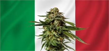 Italy Planning to Ban Hemp Flower Products