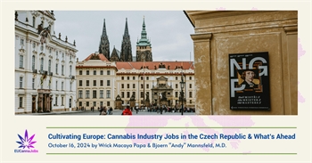 Cultivating Europe: Cannabis Industry Jobs in the Czech Republic & What’s Ahead