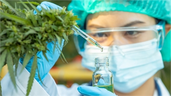 Analysis: Over 35,000 Scientific Papers Published About Cannabis During the Past Decade