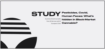 Study Finds German Cannabis Contaminated with Dangerous Pesticides, Cocaine, Feces