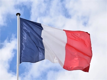 French Parliamentary Group Pushes For Cannabis Legalization